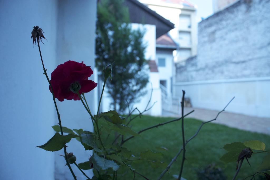Garden House Hotell Budapest Exteriör bild